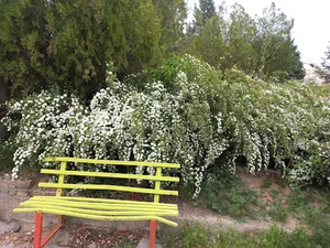 پارکینگ عمومی بوستان کلاله