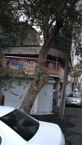 پروتئین سینا 2