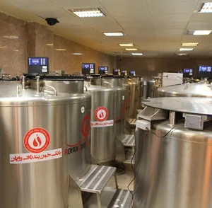 بانک خون بندناف رویان