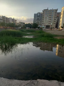 استخر پارک سنگی