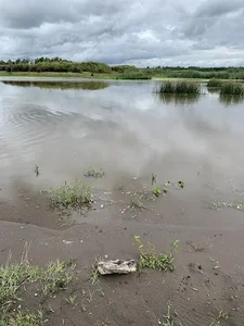 تالاب کیاشهر