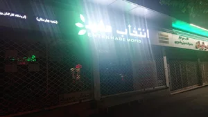 انتخاب مفید