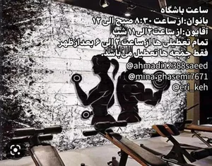 باشگاه تناسب اندام اریکه قدرت 2