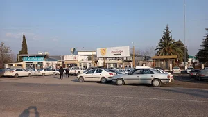 کشتارگاه مرغ زربال