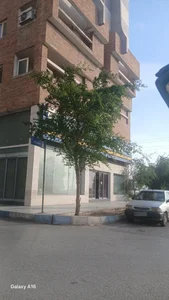 Parsian Insurance 3