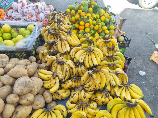 میوه فروشب