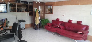 پیرایش مهدی
