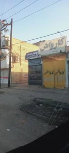 کارواش دلفین