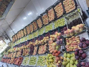 میوه سرای نارنج 5