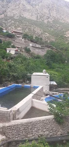 مجتمع پرورش ماهی تخته