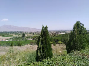 پارک جنگلی گلپایگان