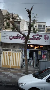 فروشگاه رویال و رویا 2
