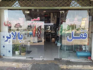شیشه اتومبیل پرند 2