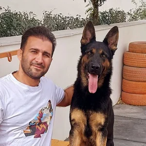 مربی سگ در تهران