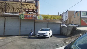 کارواش تروتمیز
