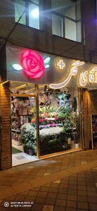 آقای گل +