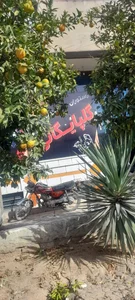 نون و کباب حسن شاهی (ممل) 2