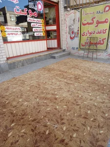 موکت حسن زاده 2