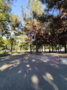 پارک بهاران