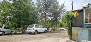 دامداری برادران امینی 3