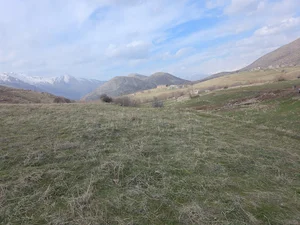 سویت اجاره ای یوسفی
