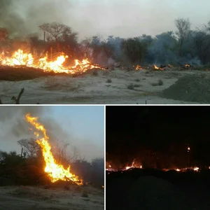 سوپر مارکت ذاکری نژاد