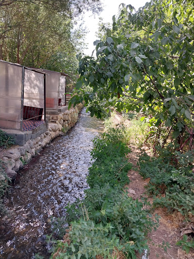 باغ نیازی