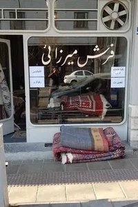 فرش میرزائی