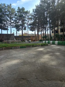 بوستان کاج