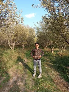 بوستان پشت استادیوم 2