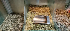 سوپرمارکت ایده‌آل 3