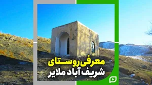 بانک صادرات شعبه زیبا شهر زیباشهر