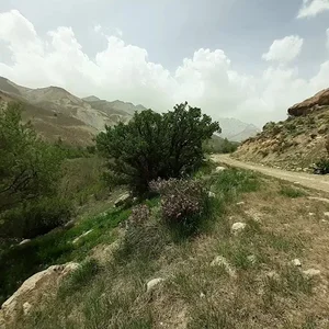 باغ دراز رودخانه