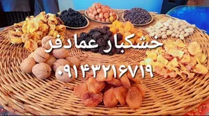 خشکبار عمادفر