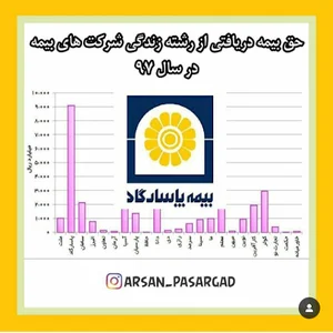 نماینده بیمه پاسارگاد محمد صالح پور