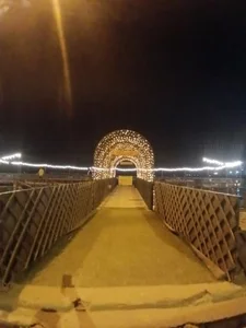 مجموعه غذایی گلدن فود 4