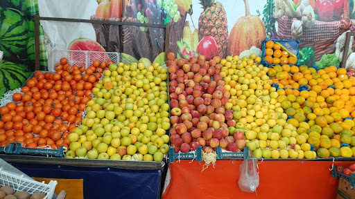 میوه سرای آلا - میوه فروشی آلا