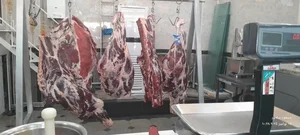 گوشت و پروتئین عرفان 3