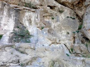سنگ نگاره گودرز شاه
