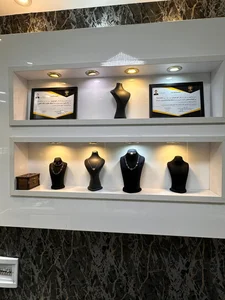 طلا و سکه امیر عزیزان 3