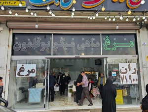 مرغ و ماهی نقش جهان
