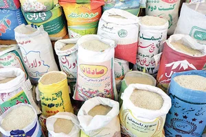 مواد غذایی توکلی