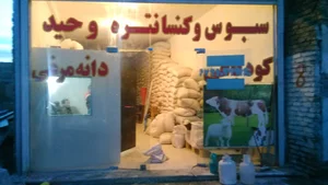 خوراک دام و طیور وحید غلام زاده