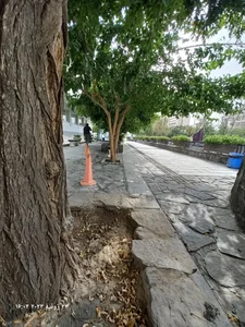 بیمارستان بوعلی 5
