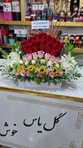 گلفروشی آرالیا 5