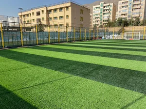 آکادمی دروازه بانی امین