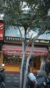 کفش هنگامه 2