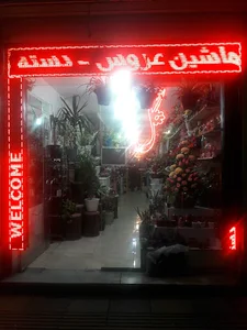 گل نابلس