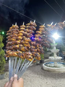 کافه خلیج