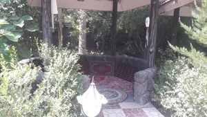 کافه جنگلی 2